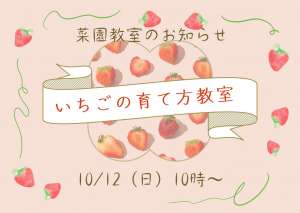 10/12(日) 菜園教室のお知らせ🍓