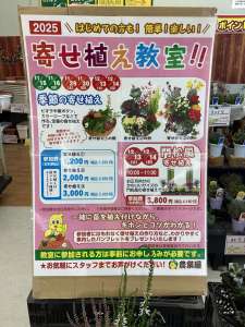 寄せ植え教室のご案内