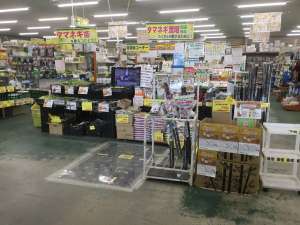 🧅玉ねぎ苗入荷中！🧅