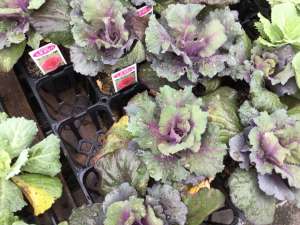 お正月🎍を華やかに💐