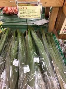 愛知県よりずいきが入荷してきました！