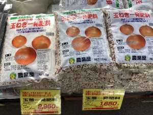もうすぐ玉ねぎ苗の植え付けシーズンです。