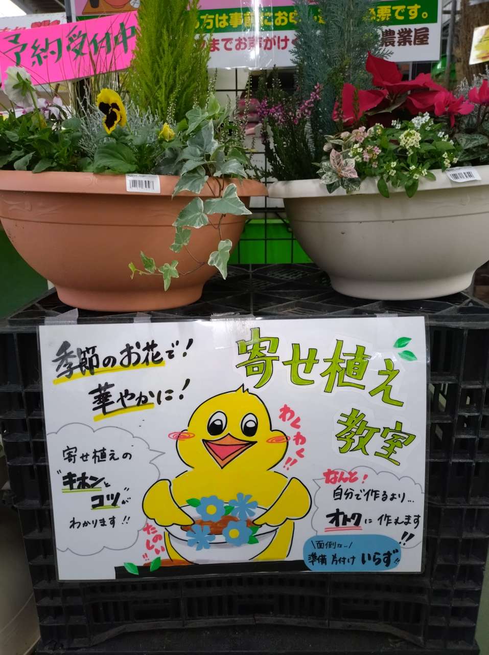 花農家直送！！こちらはご予約専用ページです❀ ⚠︎お任せMIX一旦休止します。 花農家直送！！こちらはご予約専用ページです❀ ⚠︎お任せMIX一旦休止