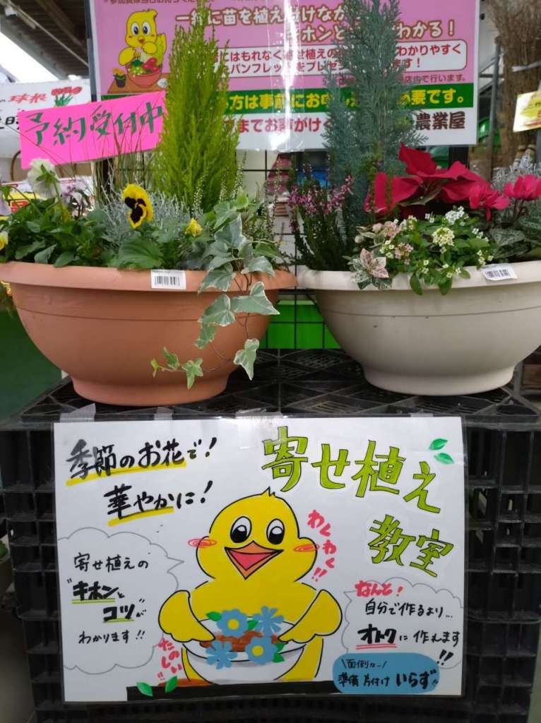 寄せ植えイベント開催のお知らせ