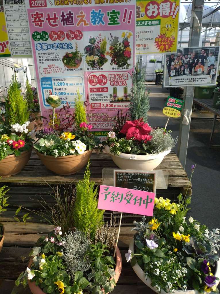 🌼 寄せ植え作りイベント 🌼開催いたします。
