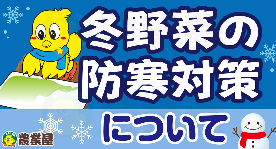 冬の防寒対策について