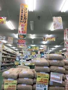 令和7年産新米玄米30kg販売中