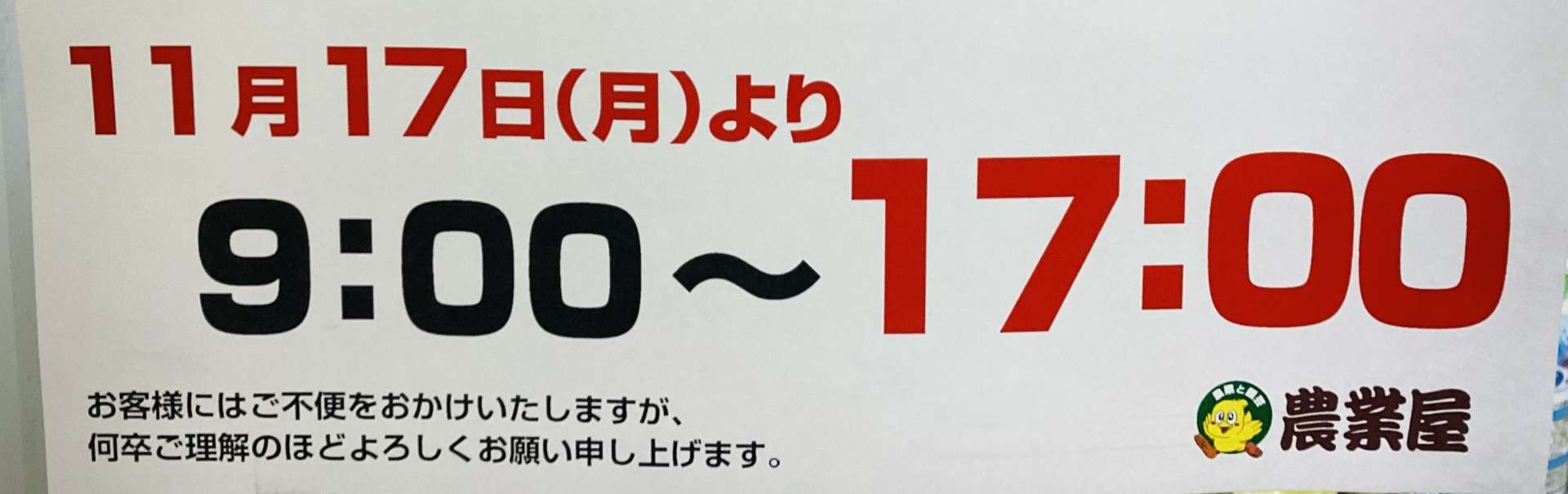 10月15日18時00分までの出品お値下げ受け付けます。 熊本みかん 訳あり 約 10kg 箱込み 熊本県産 送料無料 ミカン 大玉