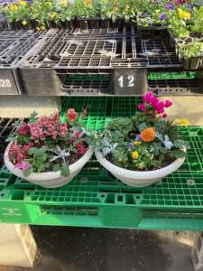 寄せ植え教室盛況です！