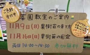 本日、菜園教室と寄せ植え教室開催します。