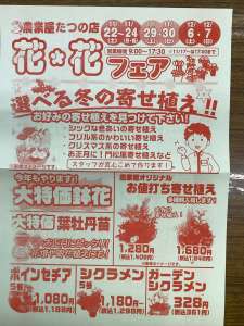 今年も花＊花セール開催しますっ！！