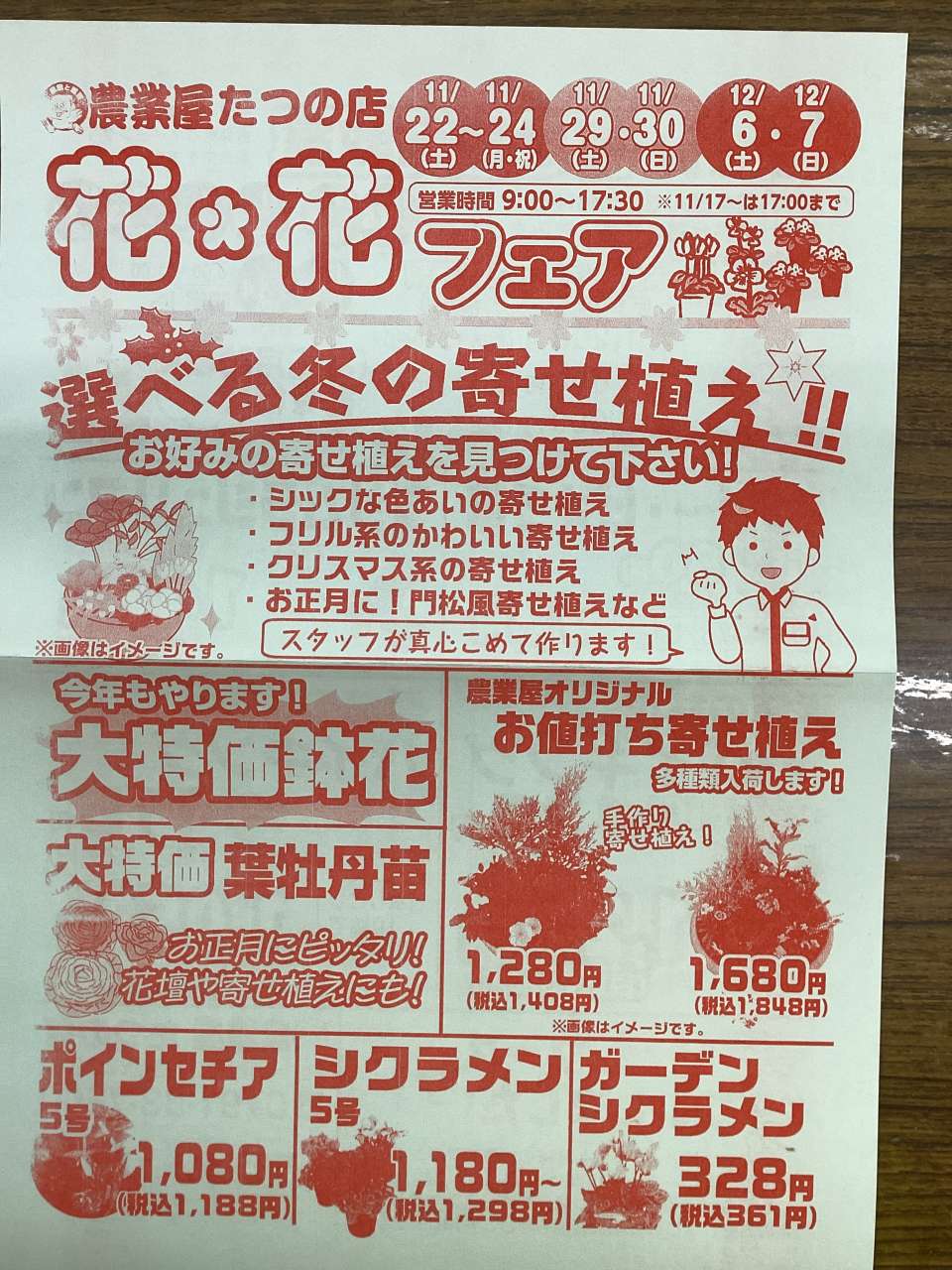 今年も花＊花セール開催しますっ！！