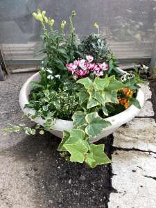 寄せ植え教室を開催しました！