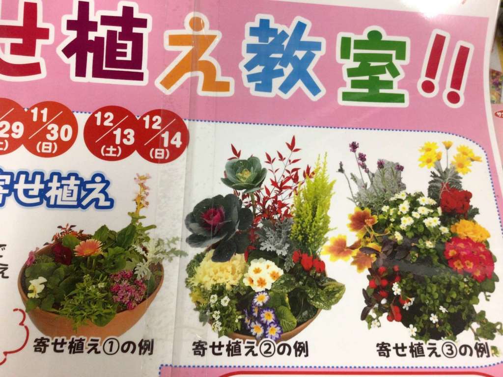 💐初開催！💐　寄せ植え教室に参加してみませんか？