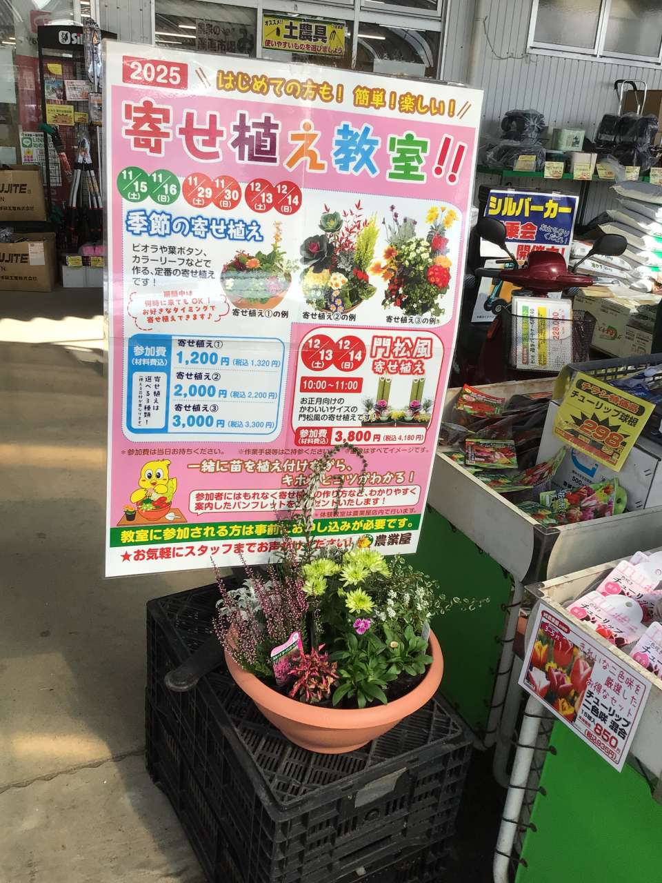 寄せ植え教室開催いたします！！