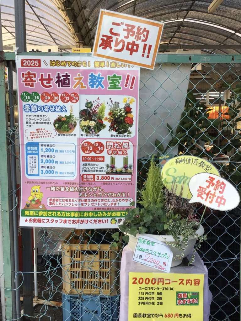 🌼寄せ植え教室開催中🌼
