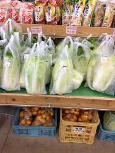地元農家さんより白菜が入荷してきました！
