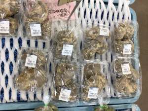 伊勢芋が入荷してきました！