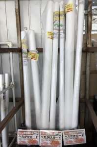 野菜苗の防寒対策について！