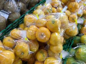 🍊蒲郡の美味しいみかん箱入り予約スタートです🍊