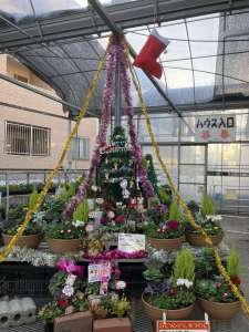 冬はすぐそこ🎄