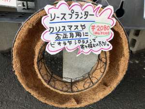 寄せ植えをつくりましょう♪