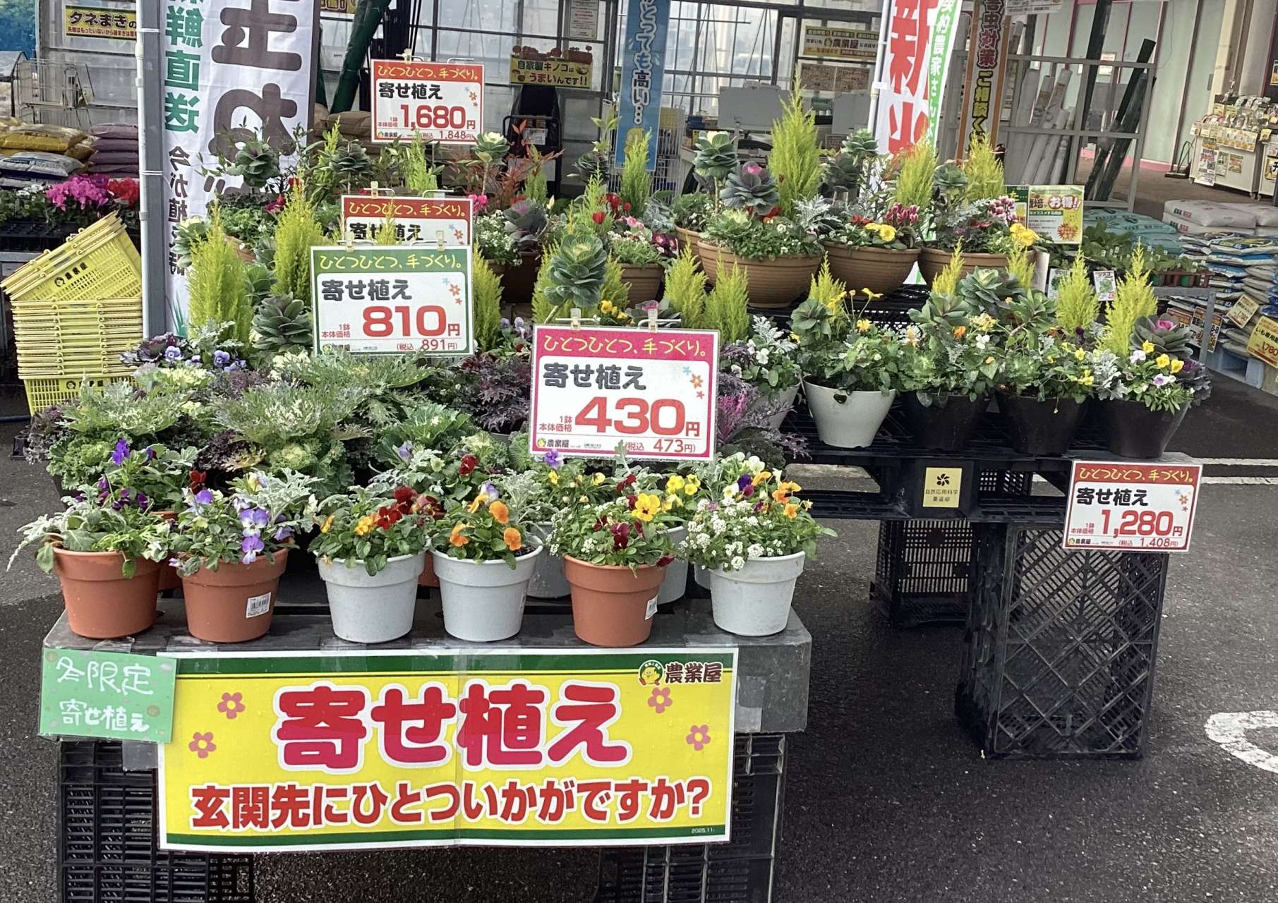 季節限定！寄せ植え入荷中！