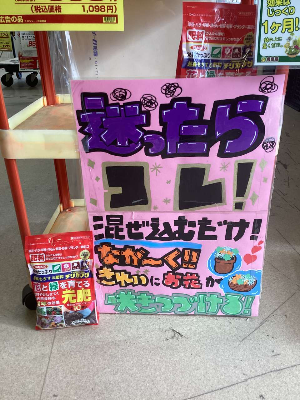 長くお花を咲かせましょう‼️