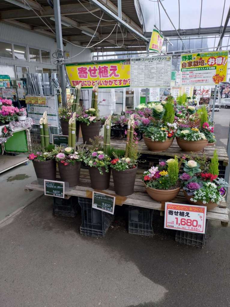 農業屋オリジナル寄せ植えが入荷しています。