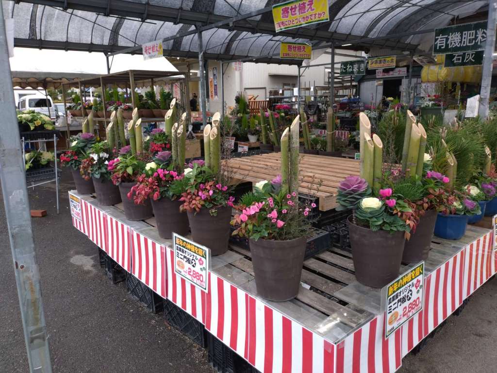 寄せ植え入荷してます(^o^)