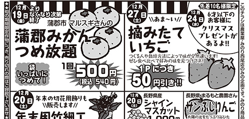 蒲郡みかんつめ放題！！摘みたていちご、年末用竹細工アレンジメント教室、コシヒカリ玄米数量限定販売など