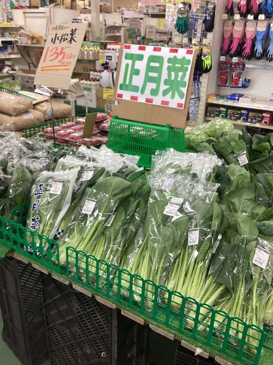 歳末セール開催中です！！