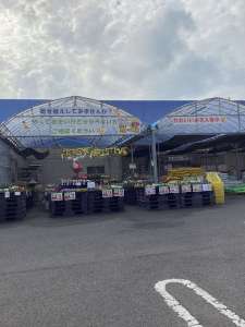 かわいい寄せ植え🌺を作ってみませんか❓