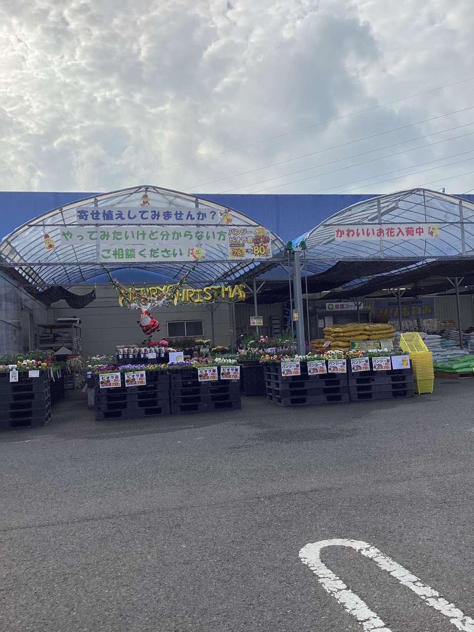 かわいい寄せ植え🌺を作ってみませんか❓