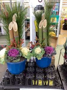 きのこのこのこ