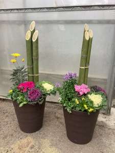 門松風寄せ植え教室を開催しました🎍
