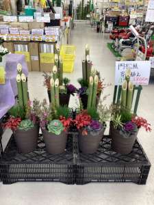 門松風寄せ植えはいかがでしょうか