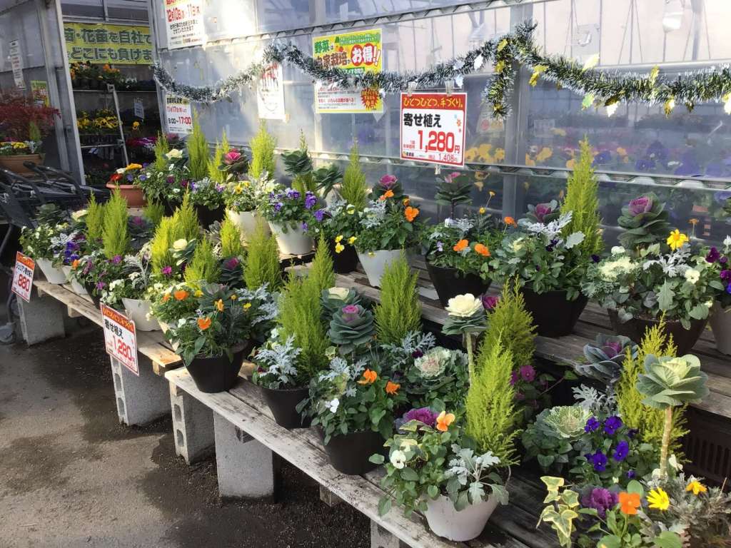 【人気商品！】寄せ植え入荷しました！