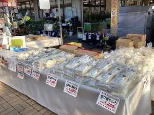 歳末セール開催中！