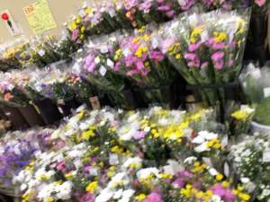 ❓歳末の準備できてますか〜❓