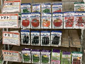 春の新種の入荷が始まりました！