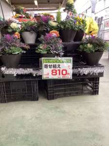 年末　お正月🎍の玄関先にいかがですか？