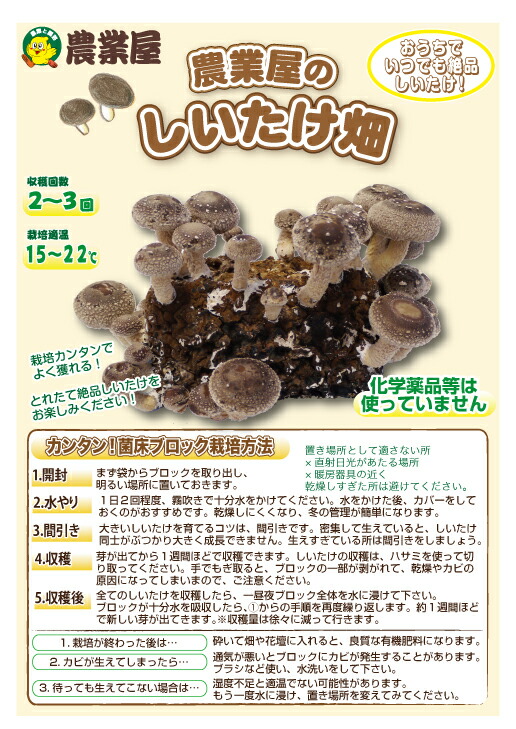 おうち時間にワクワクを。 今年もしいたけ畑入荷いたしました