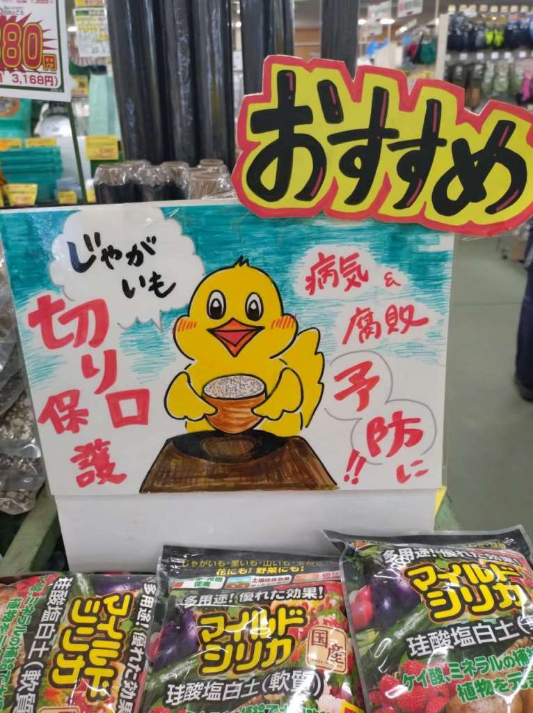 馬鈴薯種芋、早めの準備がおすすめ