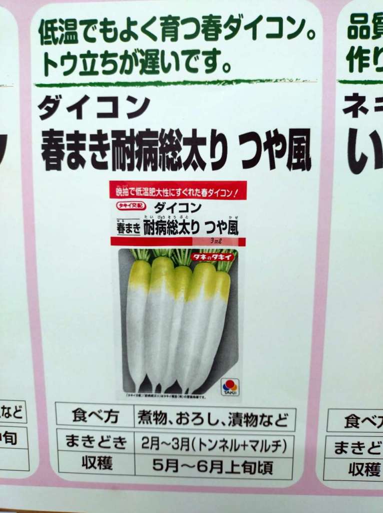 種子のご案内＼(^o^)／