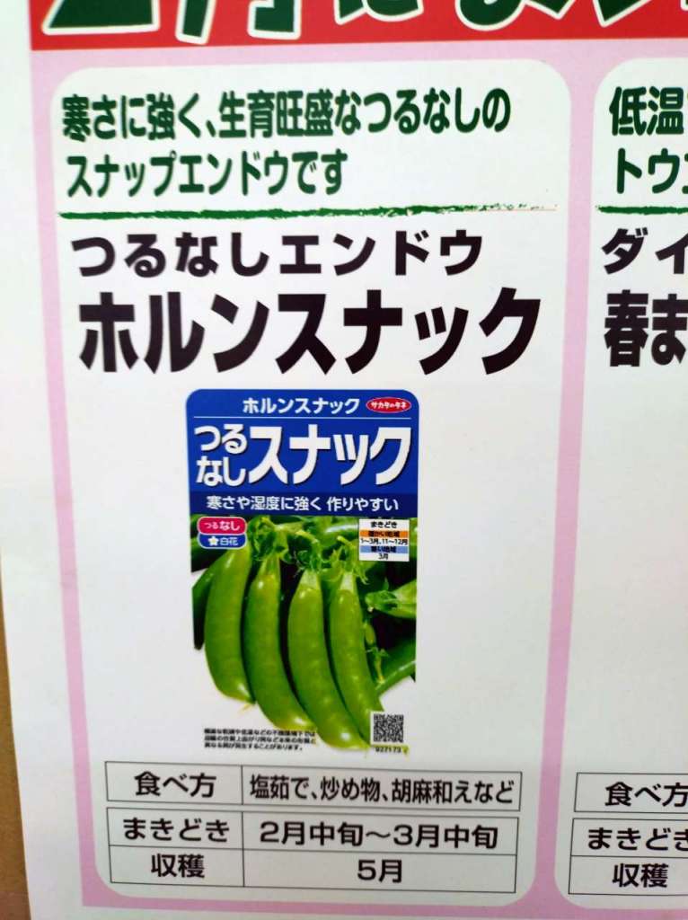 【2月】今撒ける種のご案内