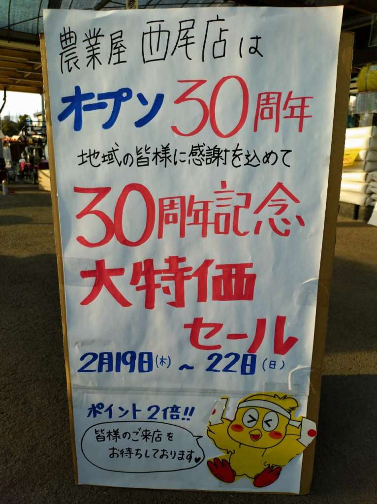 ボードン大特価セール開催決定