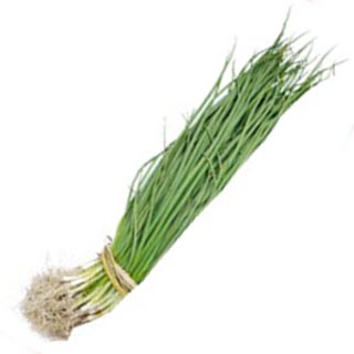 2月植え玉ねぎ苗予約承ってます。