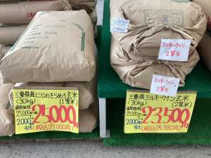 三重県産コシヒカリ玄米《　値下げ　》しています‼️