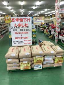 玄米コシヒカリあります‼️